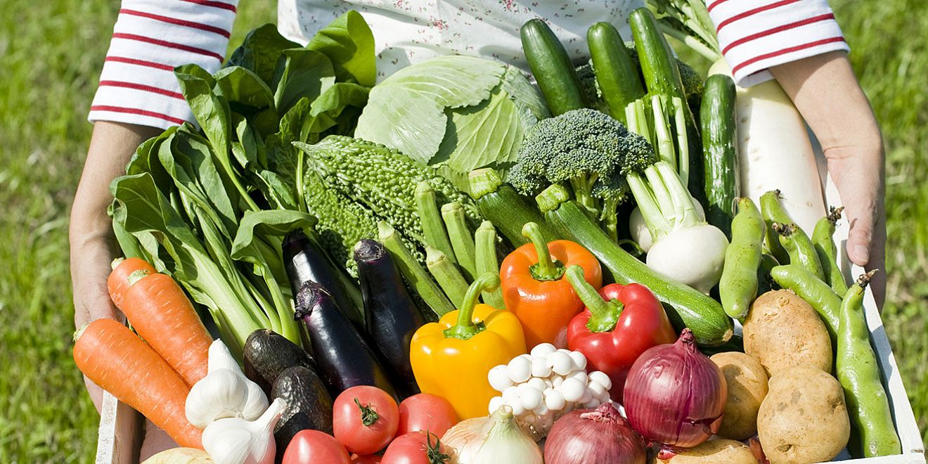 фото: Хранение овощей: особенности и рекомендации